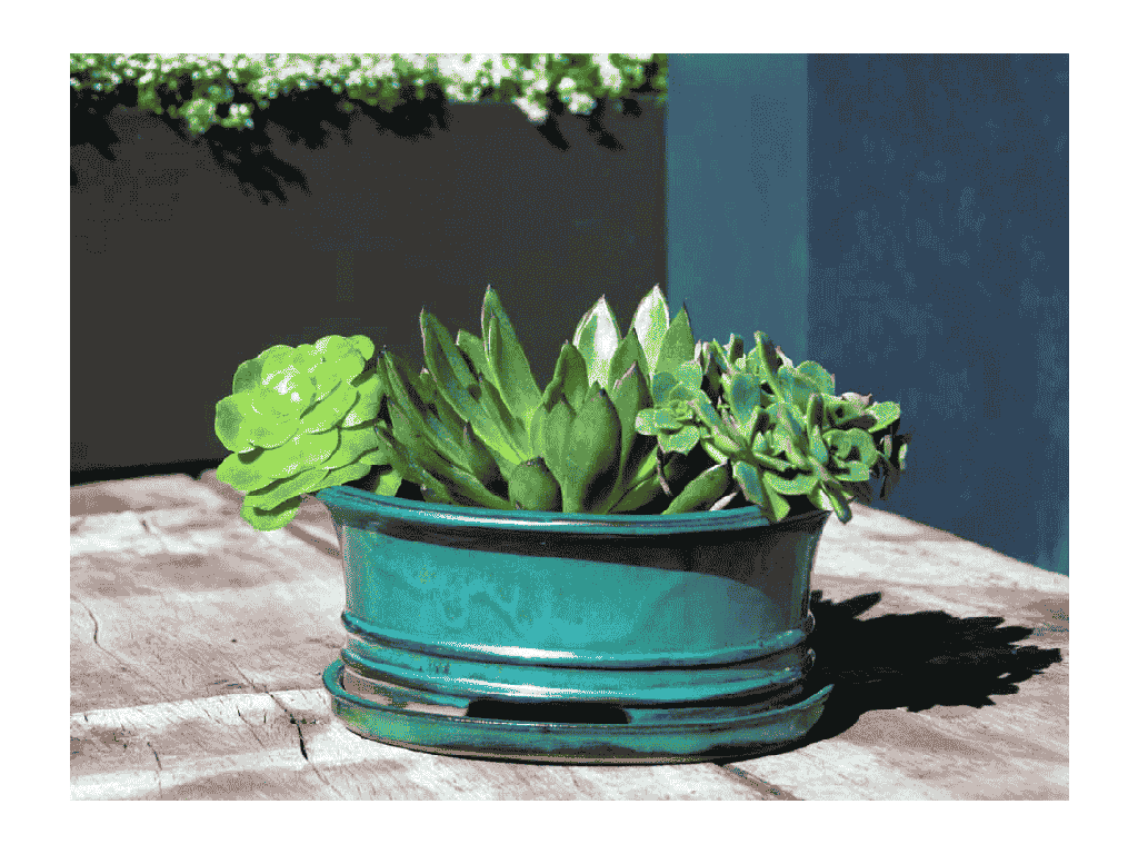 FICUS BONSAI POT, JADE, 8"X6"X3.5" (SOLD IN CASE OF 4)