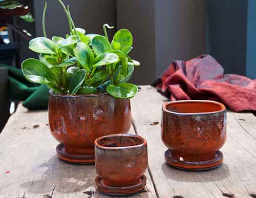 FINGER POT WITH ATTACHED SAUCERS, SEDONA, SIZE B, 5.5"x5.0"4.5" (SOLD IN CASE OF 6)