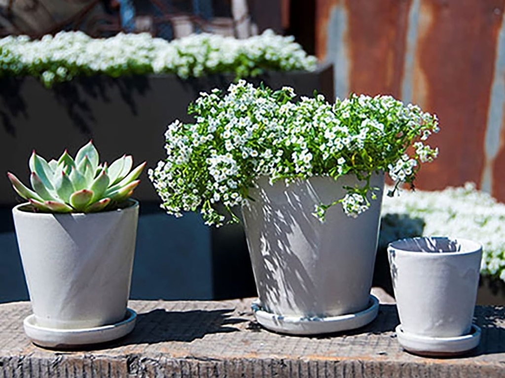 [PY-I1513WSP-C-C8] LILAC POT WITH ATTACHED SAUCER, WHITE SPOT, SIZE C, 3.0"X3.0" (SOLD IN CASE OF 8)