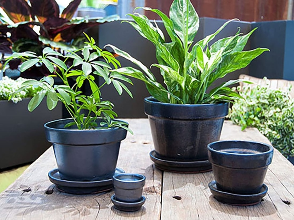 STANDARD POTS, SIZE B, BLACK, 6.75" X5.5", ATTACHED SAUCER (SOLD IN CASE OF 6)