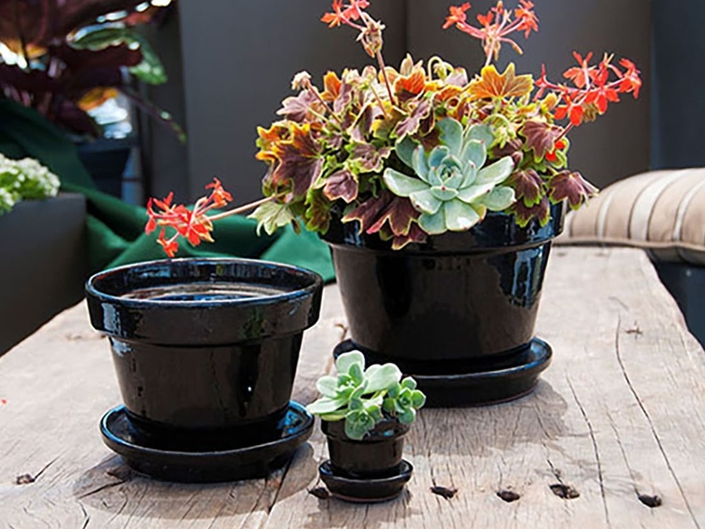 STANDARD POTS, SIZE D, BLACK, 2.5"X2.25", ATTACHED SAUCER (SOLD IN CASE OF 8)