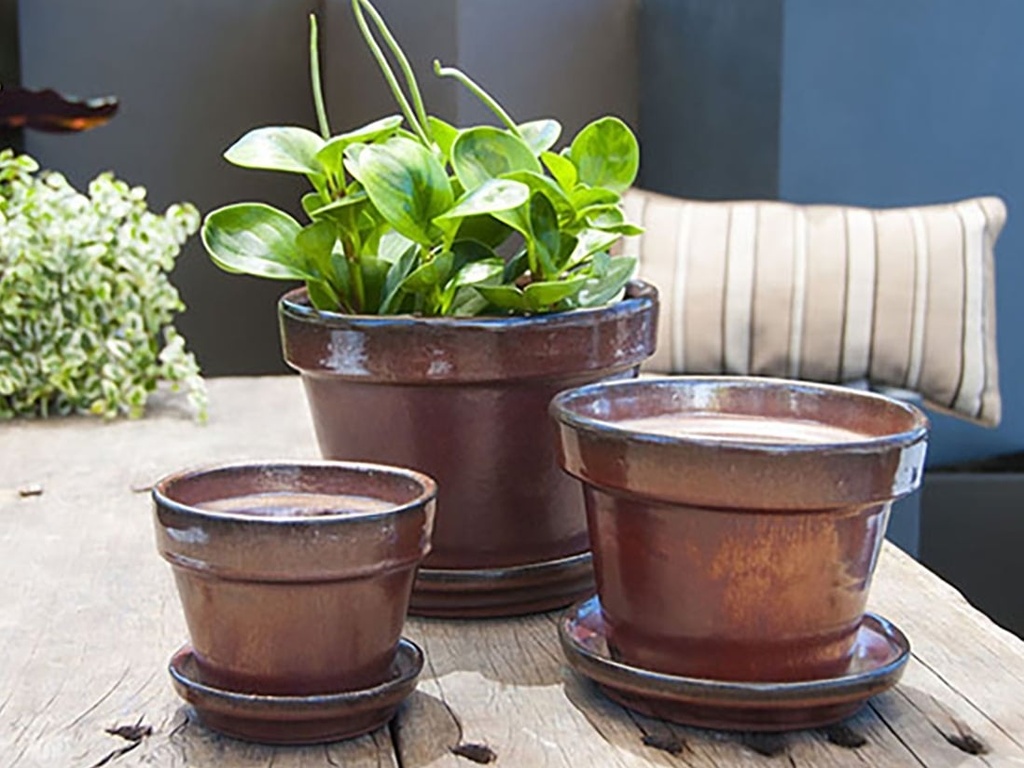 [PY-I1620OXI-D-C8] STANDARD POTS, SIZE D, OXIDE, 2.5"X2.25", ATTACHED SAUCER (SOLD IN CASE OF 8)