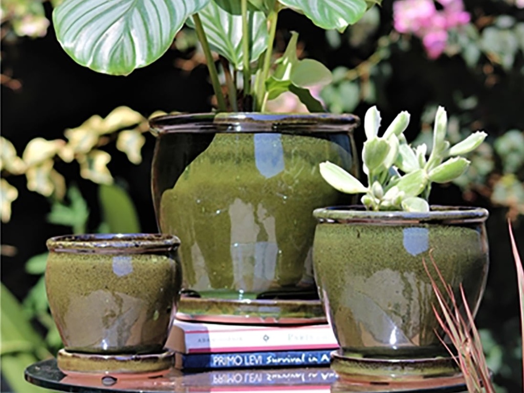 BUTTER CUP POT WITH ATTACHED SAUCER, TROPICAL GREEN, SIZE B, 5.5"X5.0" (SOLD IN CASE OF 6)