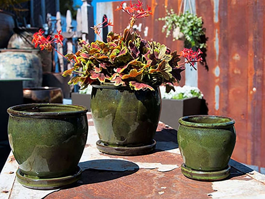 [PY-I1643TGN-C-C8] BUTTER CUP POT WITH ATTACHED SAUCER, TROPICAL GREEN, SIZE C, 4.5"X4.5" (SOLD IN CASE OF 8)