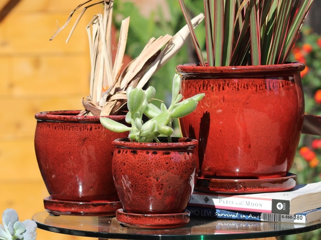 BUTTER CUP POT WITH ATTACHED SAUCER, TROPICAL RED, SIZE B, 5.5"X5.0" (SOLD IN CASE OF 6)