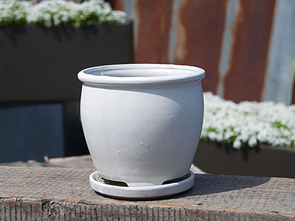 BUTTERCUP POT WITH ATTACHED SAUCER, WHITE ROSE, SIZE C, 4.5"X4.5" (SOLD IN CASE OF 8)