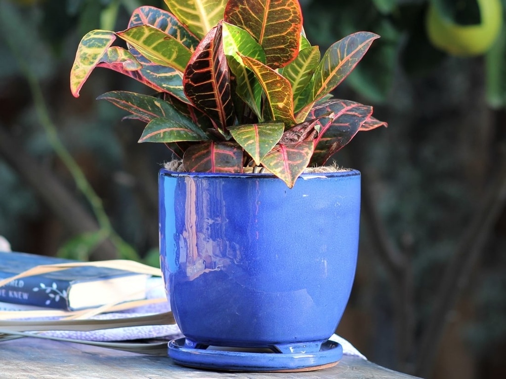 [PY-I5060FBL-A-C4] MAUI INDOOR PLANTER WITH ATTACHED SAUCER, FALLING BLUE, 7"X6" (SOLD IN CASE OF 4)