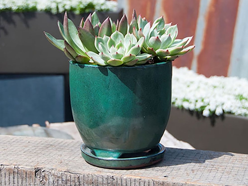 [PY-I5060JDE-A-C4] MAUI INDOOR PLANTER WITH ATTACHED SAUCER, JADE, 7"X6" (SOLD IN CASE OF 4)