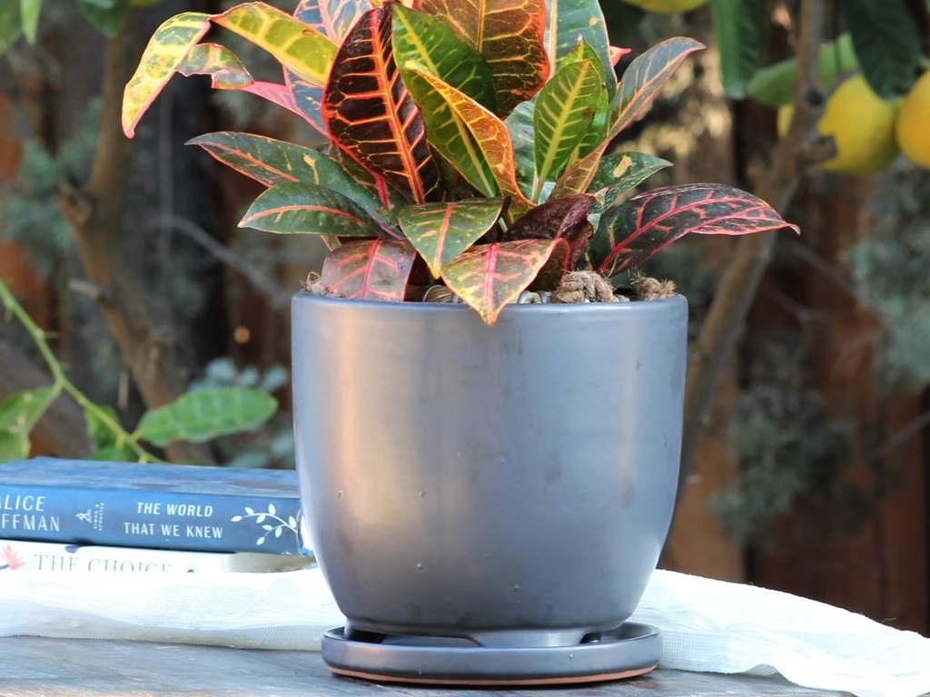 MAUI INDOOR PLANTER WITH ATTACHED SAUCER, SILVER, 5"X4.5" (SOLD IN CASE OF 6)