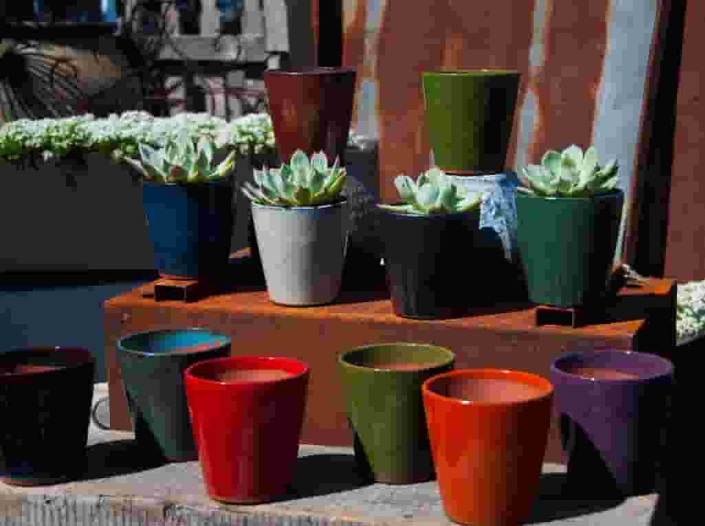 [PY-T1513MIX-C12] LILAC SUCCULENT CUP WITH 12 MIXED COLORS, 4.5" X 4.5" (SOLD IN CASE OF 12)