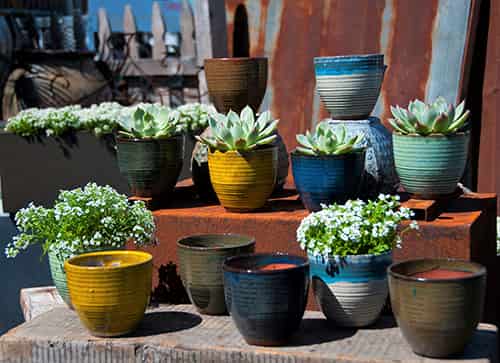 [PY-T1632MIX-C12] RIBBED SUCCULENT CUP WITH 6 MIXED COLORS, 4.5" X 4.0" (SOLD IN CASE OF 12)