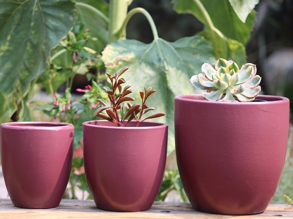 ANTHURIUM, BLUE ROSE, SET OF 3 - 8.5"X8.5",6.5"X6.5",5.5X5.5