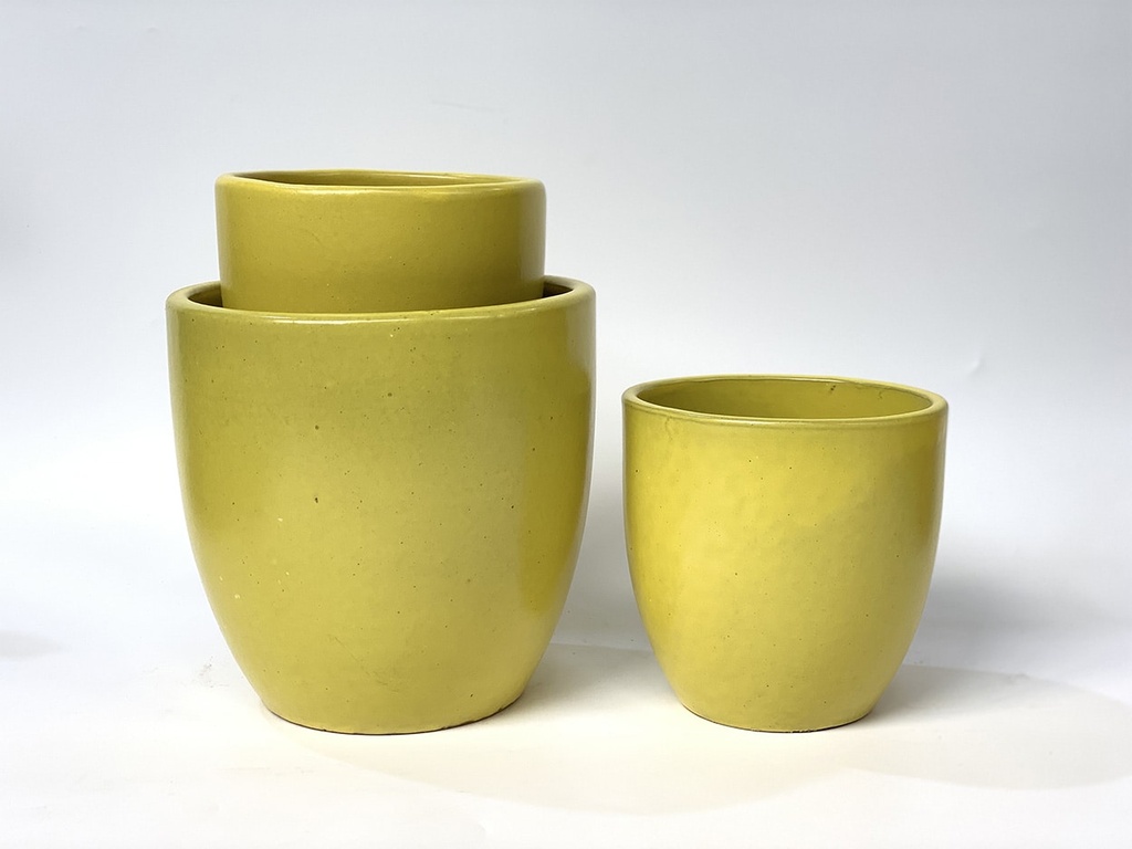 ANTHURIUM, UNMELLOW YELLOW,SET OF 3- 8.5"X8.5",6.5"X6.5",5.5X5.5