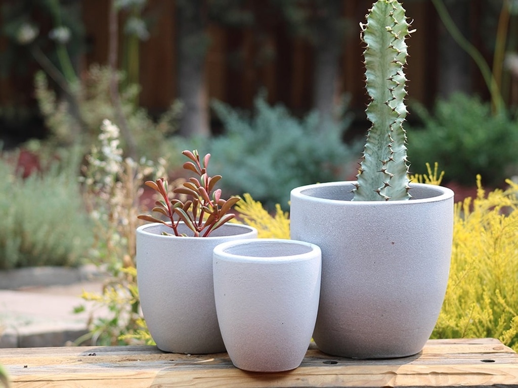 ANTHURIUM, WHITE SPOT,SET OF 3- 8.5"X8.5",6.5"X6.5",5.5X5.5,