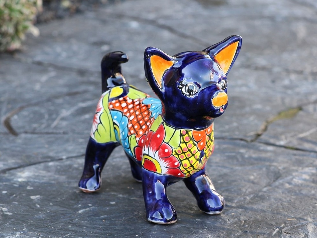 CHUIHUAHUA GDE PARADO