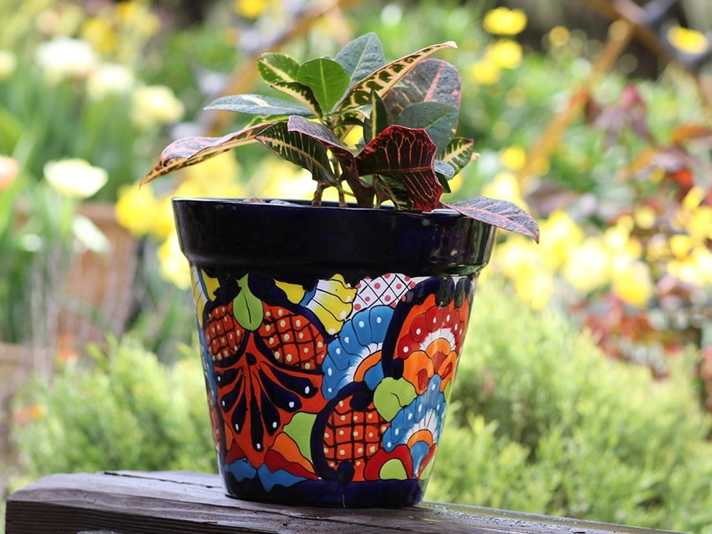 [TL-J2117] GARDEN VASE #22, 8.5" x 8.5"