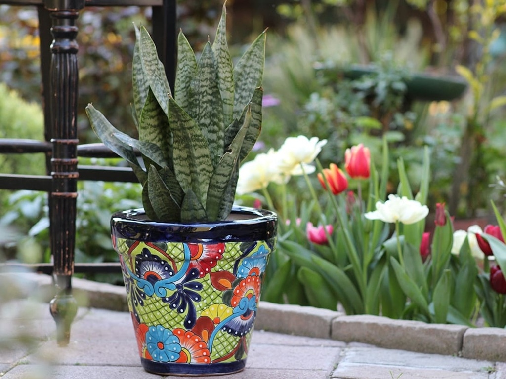 [TL-J2120] GARDEN VASE #35, 14" x 13"