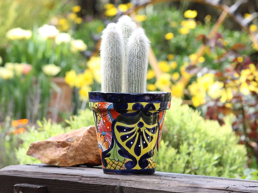 GARDEN VASE #3, 6" x 6.5", SOLD IN CASE OF 6