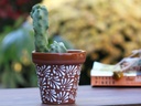 GARDEN VASE POT, SMALL, 4.5" x 5.5", CHRYSANTHEMUM TERRA COTTA, SOLD IN CASE OF 6