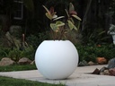 SPHERE PLANTER, PURE WHITE, 20"X17.5"
