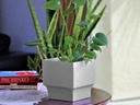 ART DÉCOR SQUARE PLANTER, CONCRETE LIGHT GREY, 6.5"X6.5" SOLD IN CASE OF 6