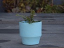 ART DÉCOR ROUND PLANTER, SKY BLUE, 6.5"X6.5", SOLD IN CASE OF 6