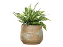 ROUND HAND FORMED PLANTER, BROWN STONE RUST, 9.5"X8.0", SOLD IN CASE OF 2