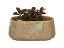 OVAL HAND FORMED PLANTER, BROWN STONE RUST, 8.5'x4.5'x4'SOLD IN CASE OF 4