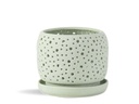 RAIN DROP ORCHID PLANTER, SAND SAGE GREEN, 6.0"X5.5", CASE OF 6