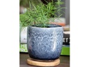 JEWEL TEACUP PLANTER, SAPPHIRE MIST, 4.0" X 4.0" X 4.0", SOLD IN CASE OF 12