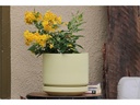 MELROSE M-MODERN PLANTER, ANISE FLOWER, 12.0"x12.0"