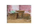 WEMBLEY TERRA COTTA FARM POTS, MOSSED REDSTONE, 6.0"X5.0", 5.5"X4.0", 4.0"X3.0" (SOLD IN CASE OF 12 SETS)
