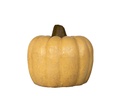 CLAY PUMPKIN,BEIGE, 13.0"X11.0"