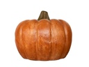 CLAY PUMPKIN,CLASSIC, 16.0"X13.0"