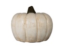 CLAY PUMPKIN,WHITE, 16.0"X13.0"