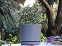 MID MODERN PLANTER WITH DETACHED SAUCER, HEATHER GREY, 10.0"X9.0", 10.0"X2.0"
