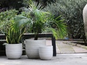 BERGONIA PLANTER, PASTEL CREAM, SET OF 3- 15"X13.5", 12"X12", 10"X9"