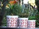 FERN PLANTER, LEAF BROWN, SET OF 3- 15.0"X13.5", 12.0"X12.0", 10.0"X9.0"