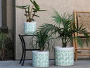 FERN PLANTER, LEAF GREEN, SET OF 3- 15.0"X13.5", 12.0"X12.0", 10.0"X9.0"