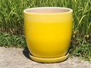 DAFFODIL PLANTER W/SAUCER, OMBRE YELLOW, 12"X11.5"