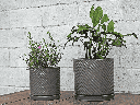 ASTER NOIR PLANTER W/ ATTACHED SAUCER, MATTE BLACK, 13.0"X12.0"