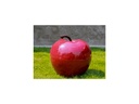 MEDIUM APPLE, LAVISH RED, 10"