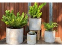 CYLINDER PLANTER, COTTAGE WHITE, SET OF 4- 12.5" X 10.5", 10.5" X 9.5", 9.5" X 8.0", 7.0" X 6.5"