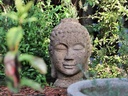MEDIUM BUDDHA HEAD, STONE BROWN, SIZE B, 14"X 20"