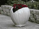 CONE SHELL PLANTER, WHITE NO SPECKLE, 15.5" X 19.0" X 16.5"