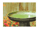 VICHY BIRDBATH/LOCKING TOP, SPRING GREEN, 19"X27.50"