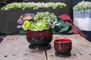 FINGER POT WITH ATTACHED SAUCERS, RED ON BLACK, SIZE A, 7.0"x6.5"x5.5" (SOLD IN CASE OF 4)
