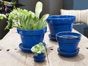 STANDARD POTS, SIZE D, FALLING BLUE, 2.5"X2.25", ATTACHED SAUCER (SOLD IN CASE OF 8)