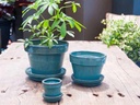 STANDARD POTS, SIZE B, JADE, 6.75" X5.5", ATTACHED SAUCER (SOLD IN CASE OF 6)