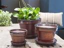 STANDARD POTS, SIZE C, OXIDE, 5" X4.5", ATTACHED SAUCER (SOLD IN CASE OF 6)